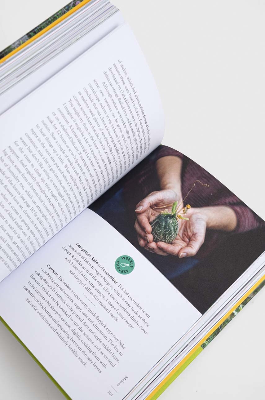 Книга 0