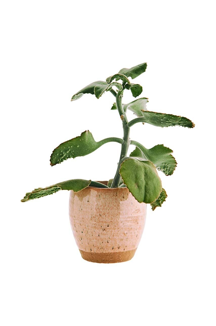 Підставка для квіткового горщика Stoneware 0