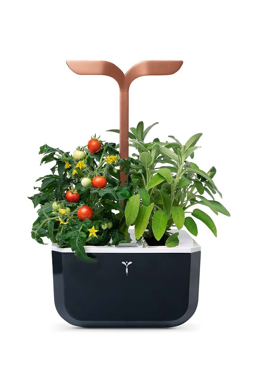 Автономний домашній сад Exky Smart 2